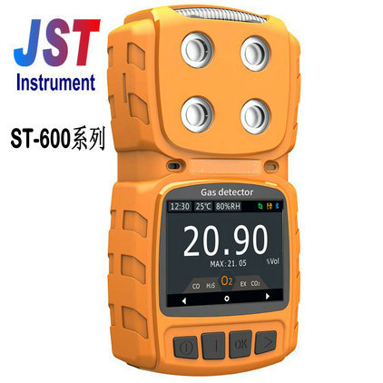 ST-603扩散式臭氧检测仪